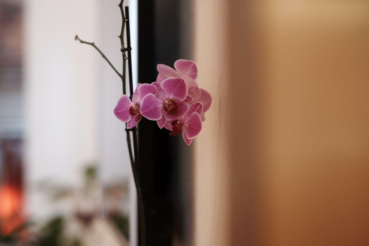 Apartman Antonio Trogir Dış mekan fotoğraf